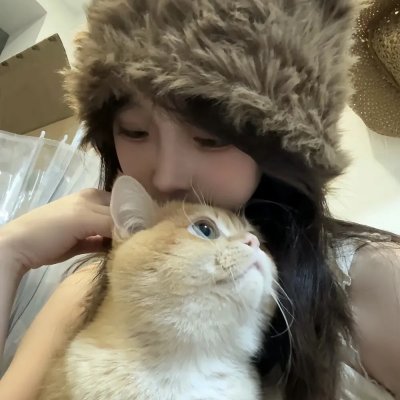 小猫钓鱼